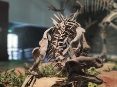 -自贡恐龙博物馆