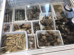 -食海部落
