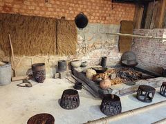 -西双版纳原始森林公园