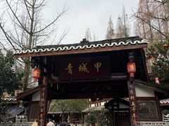 -青城甲(青城山店)