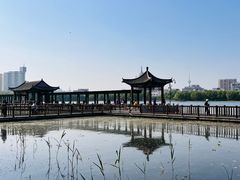 -莲花池公园