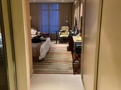 -电谷雅阁国际大酒店