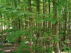 -桤木河湿地公园