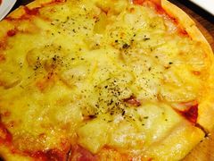 -百好乐宠物友好餐厅(朝外大街店)