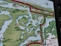 -盐城丹顶鹤湿地生态旅游区