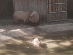 -无锡动物园·太湖欢乐园