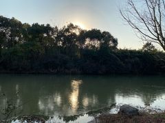 -上海海湾国家森林公园