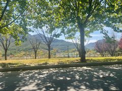 -天鹅湖生态旅游风景区