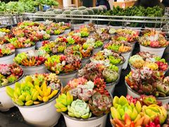 -鹿岛会员店 (龙湖三千集天街店)