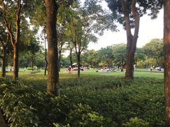 -顺峰山公园