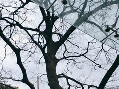 -上海市龙华烈士陵园