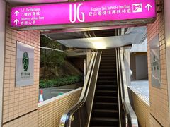 -香港大学