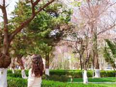 -山东大学(洪家楼校区)