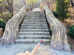 -金龙寺国家森林公园