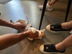 -Again Coffee Roaster(香蜜湖店)