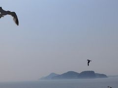 -海驴岛(荣成市)