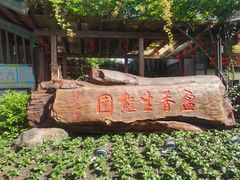 -盈香心动乐园