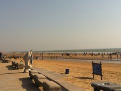 iphone_upload_pic-日照海滨国家森林公园