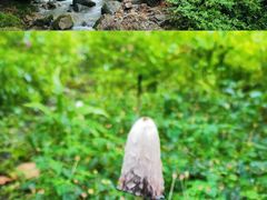 -瓦屋山景区