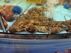 -食鼎记海鲜大排档(美食街店)
