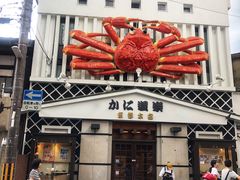 -蟹道乐(京都本店)