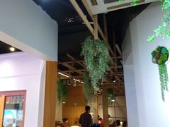 -红辣椒陶氏丝娃娃(南国花锦店)