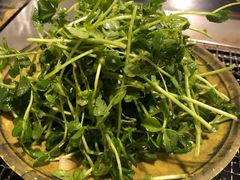 养生豆苗-柿子树炭烤羊腿(金台路店)