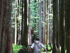 -武陵山森林公园