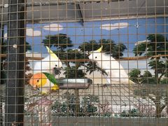 -荆州中山公园动物园