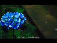 -星光摄影器材城
