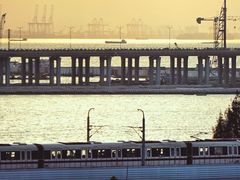 -宝安西湾红树林湿地公园