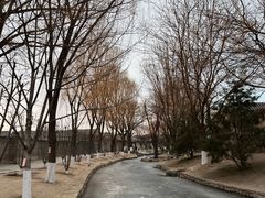 -春风习习
