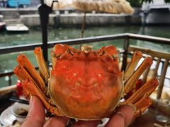 -喜洋洋蟹庄(阳澄湖店)
