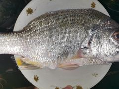 -浦商菜市场·锦德店