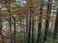 -白草畔自然风景区