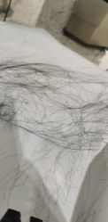 -MY HAIR ARDOR
