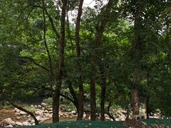 -石台牯牛降景区