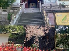 -台州府城(东湖)