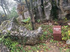 -山王坪喀斯特国家生态公园