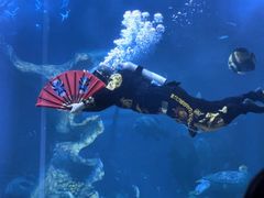 -多彩贵州城极地海洋世界