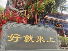 -南国桃园旅游度假区