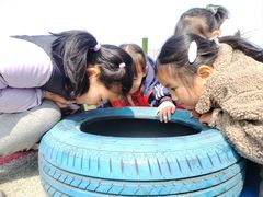 -无锡金色摇篮幼儿园(宝龙城市广场店)