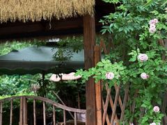 -南翠屏公园