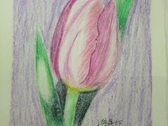 -上海峰子美术教育培训机构(杨浦店)