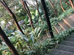 -重庆彩云湖湿地公园