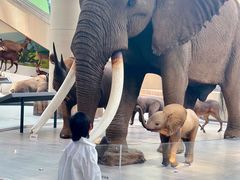 -陕西自然博物馆