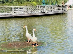 -静之湖度假区