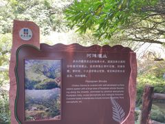 -赤水丹霞旅游区·佛光岩
