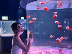 -欢乐海岸海洋奇梦馆