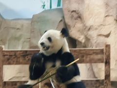 -无锡动物园·太湖欢乐园